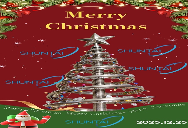 Các hoạt động ngày lễ | Ngày Giáng sinh